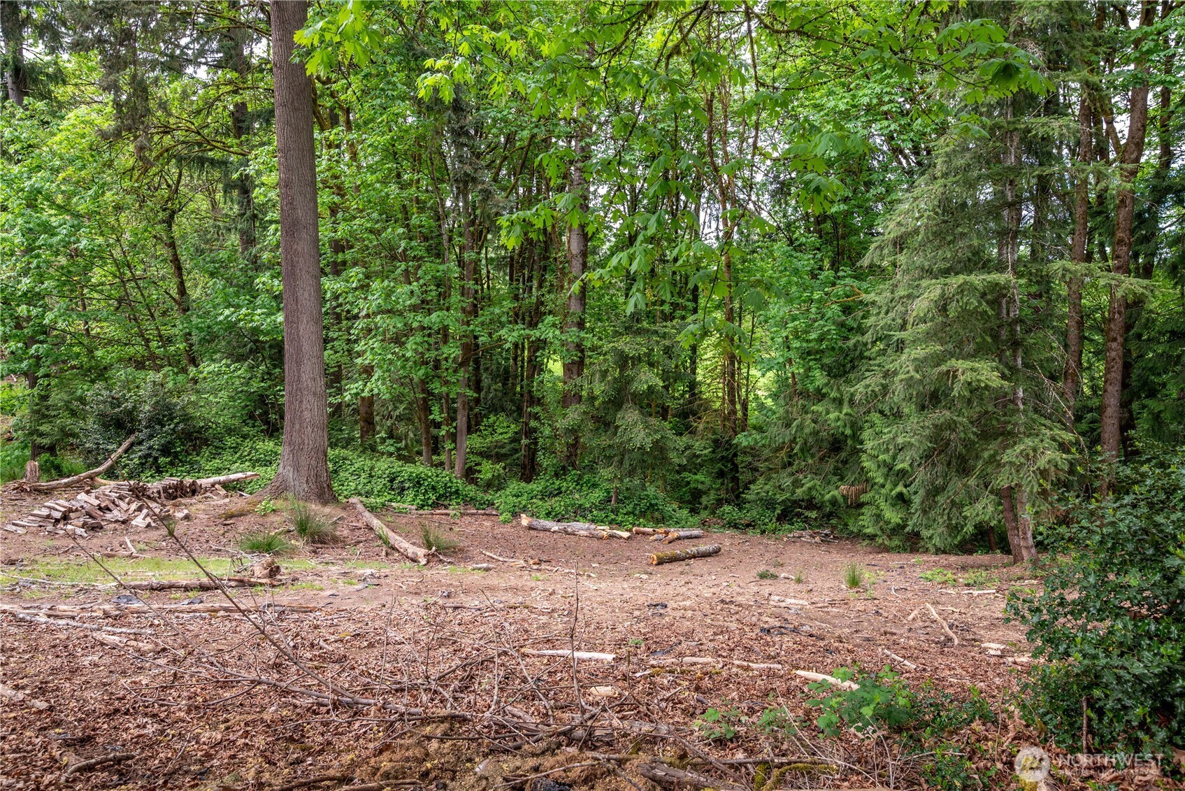 303 E Cedar Lane , Longview, WA 98632