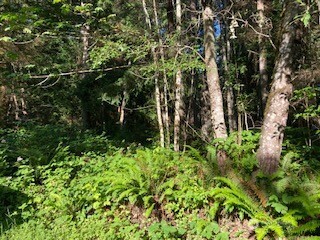 321 Neat Avenue NE, Kingston, WA 98346