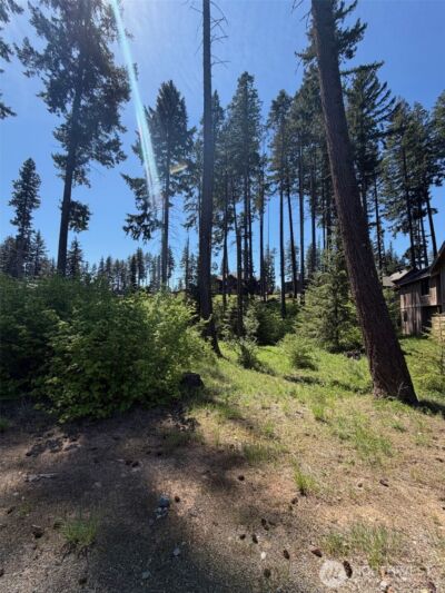 27 Legacy Trail , Cle Elum, WA 98922 - Photo 9