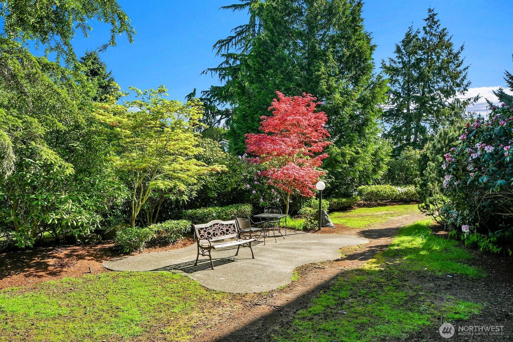 8501 12th Avenue NW #307, Seattle, WA 98117