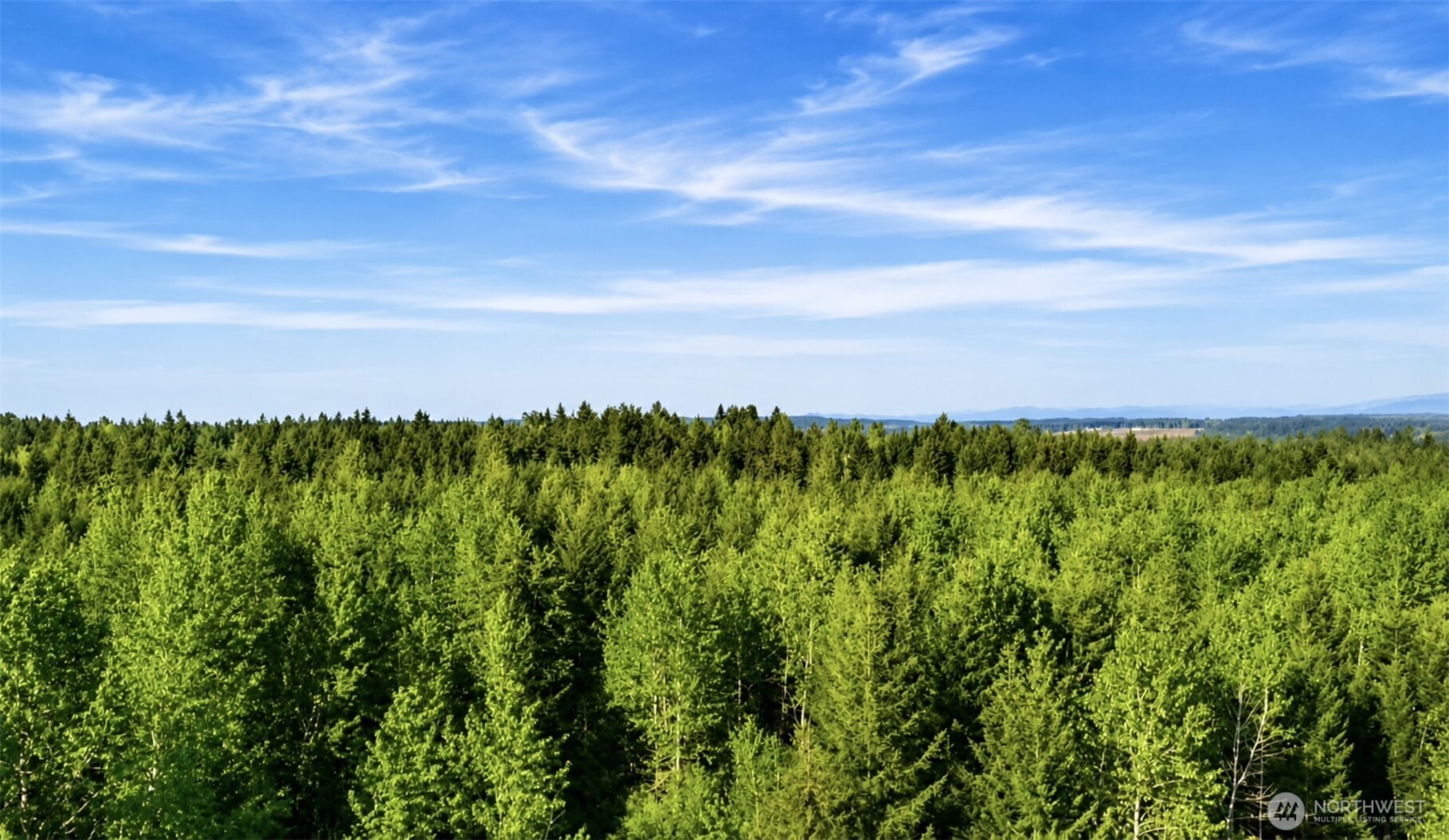 15331 Sunnyside Lane SE, Yelm, WA 98597