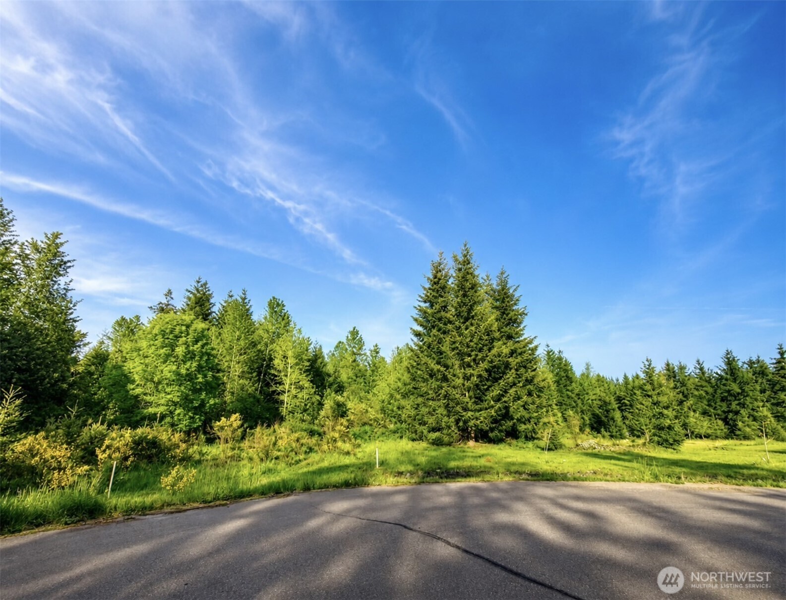 15312 Sunnyside Lane SE, Yelm, WA 98597