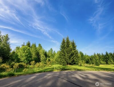 15313 Sunnyside Lane SE, Yelm, WA 98597
