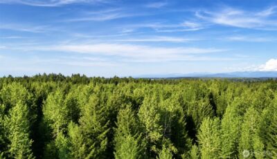 15313 Sunnyside Lane SE, Yelm, WA 98597 - Photo 2