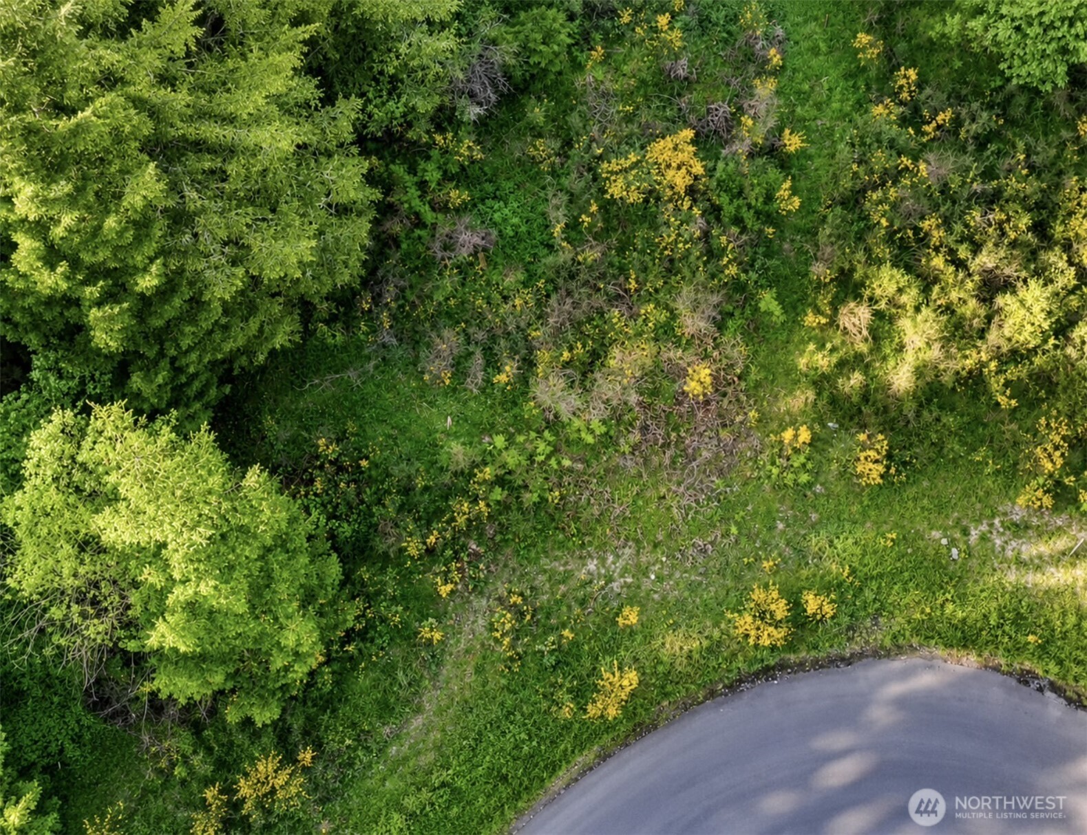 15313 Sunnyside Lane SE, Yelm, WA 98597