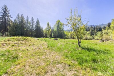 2252 Black Diamond Road , Port Angeles, WA 98363 - Photo 21