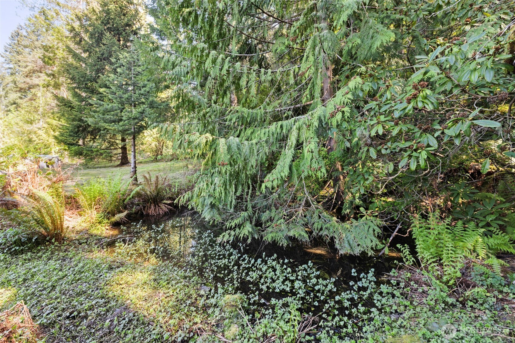 2252 Black Diamond Road , Port Angeles, WA 98363