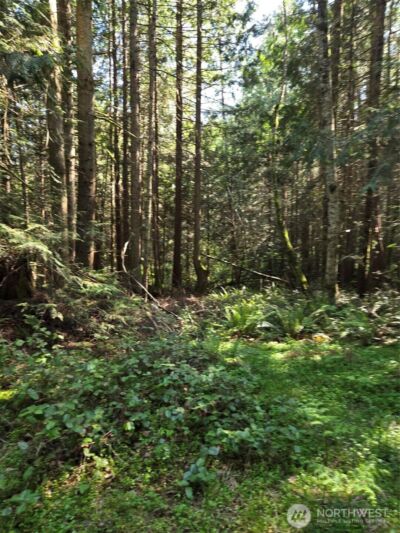 146 Humble Hill Road , Sequim, WA 98382 - Photo 2