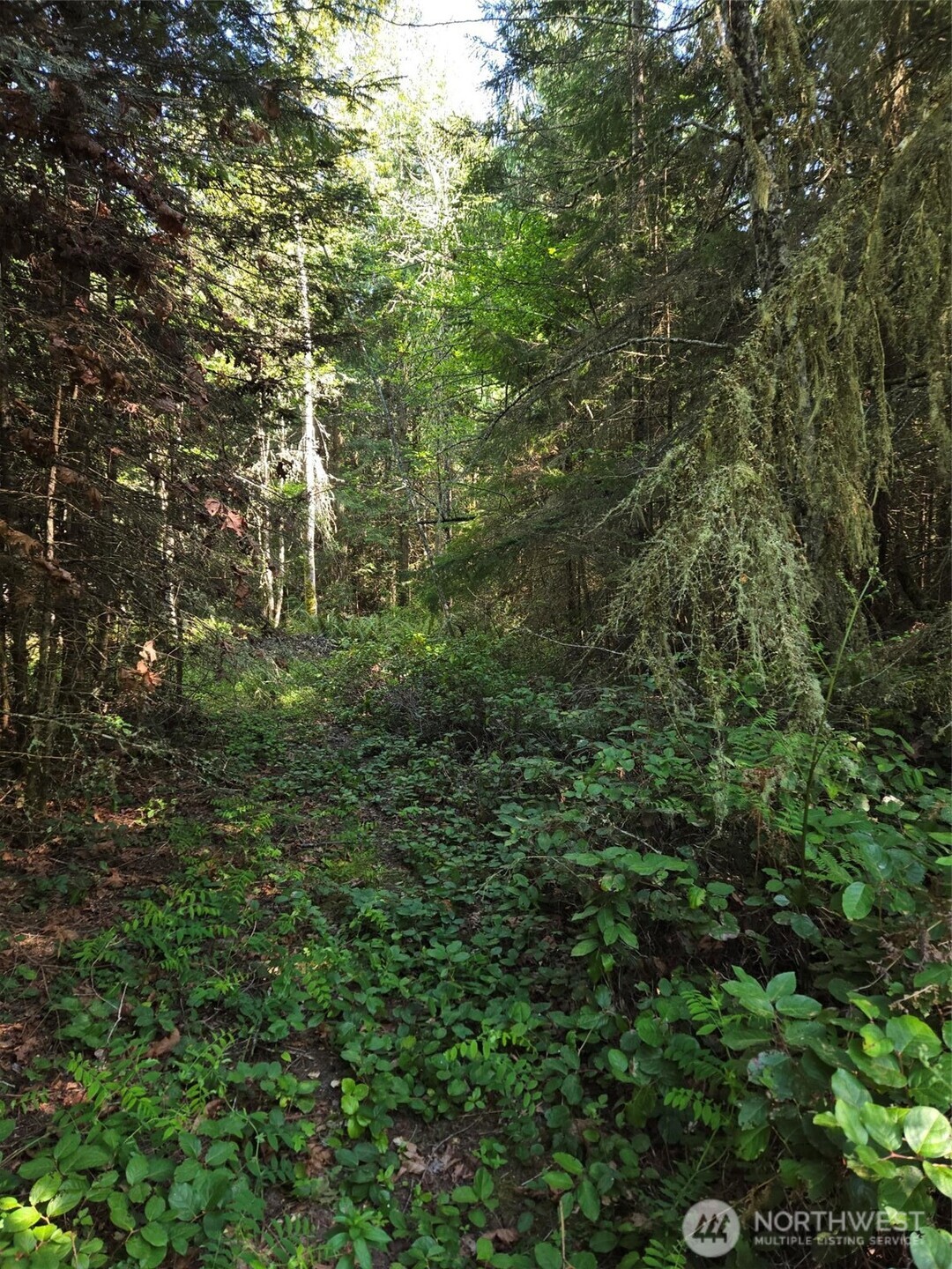 146 Humble Hill Road , Sequim, WA 98382