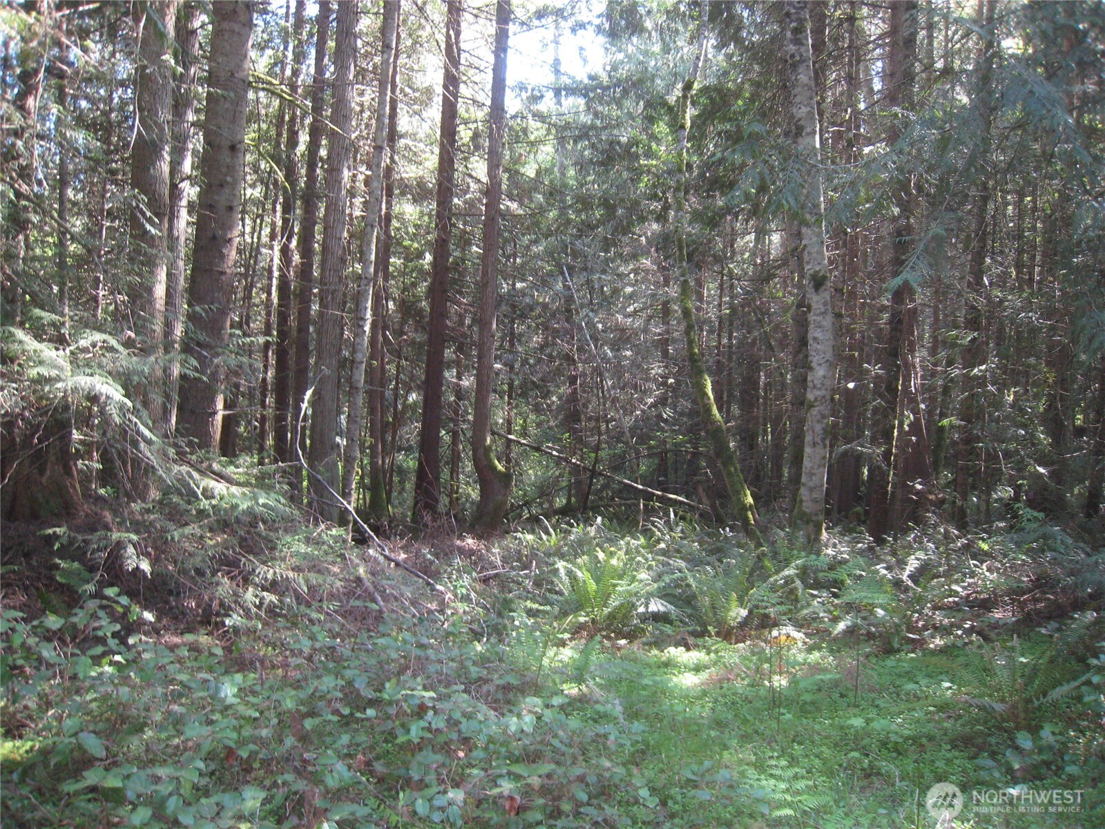 146 Humble Hill Road , Sequim, WA 98382
