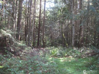 146 Humble Hill Road , Sequim, WA 98382 - Photo 5