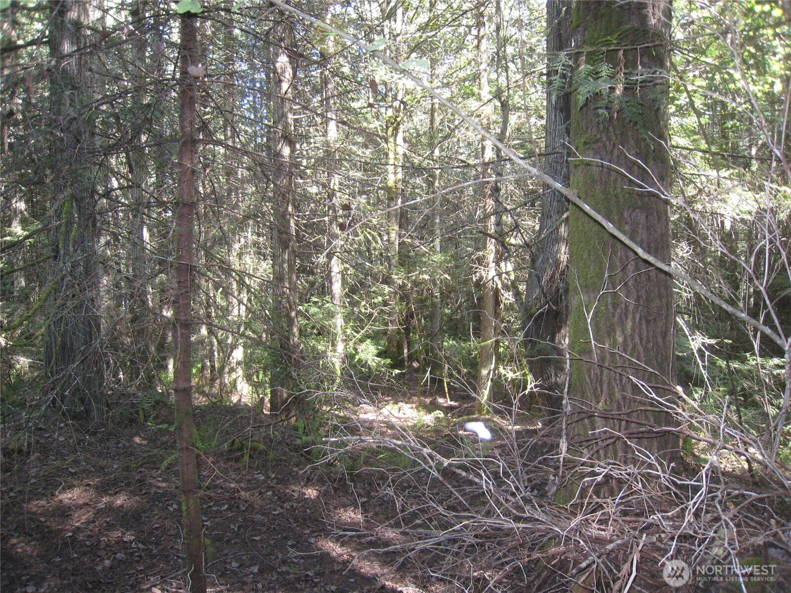 146 Humble Hill Road , Sequim, WA 98382
