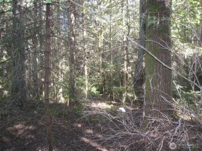 146 Humble Hill Road , Sequim, WA 98382 - Photo 7