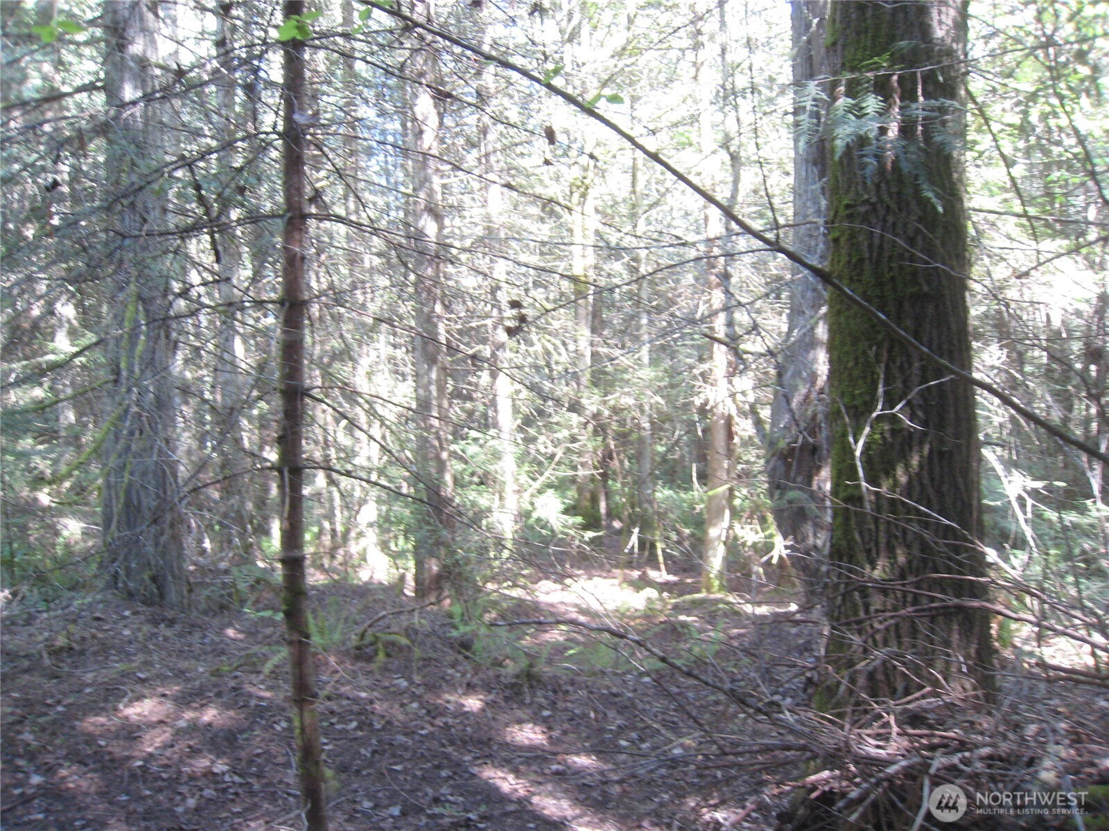 146 Humble Hill Road , Sequim, WA 98382