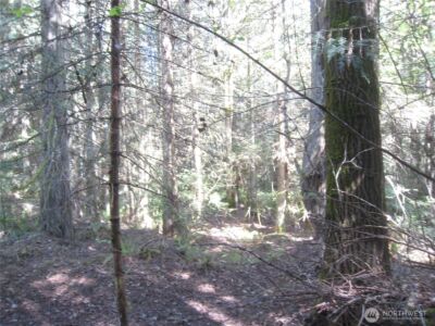 146 Humble Hill Road , Sequim, WA 98382 - Photo 8