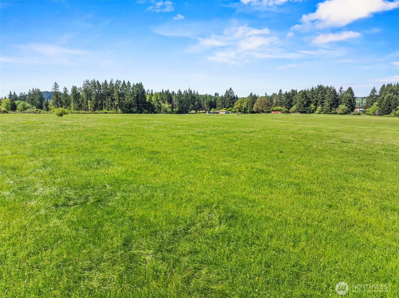 0 E Hale Road , Winlock, WA 98596