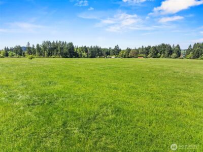 0 E Hale Road , Winlock, WA 98596 - Photo 19