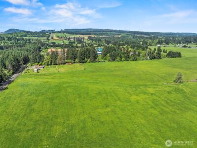 0 E Hale Road , Winlock, WA 98596 - Photo 8