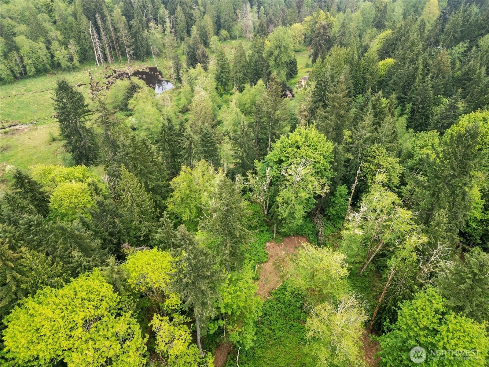 1527 Newberg Road , Snohomish, WA 98290