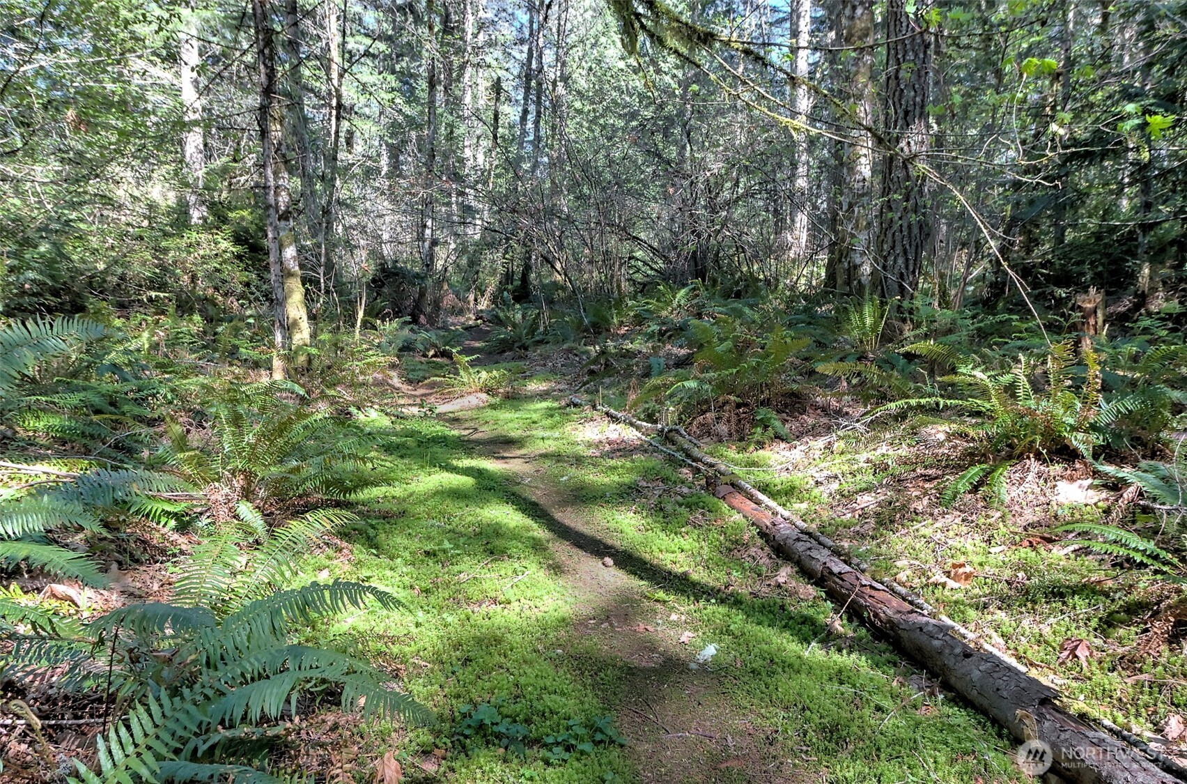 19381 E State Highway 3 , Allyn, WA 98524