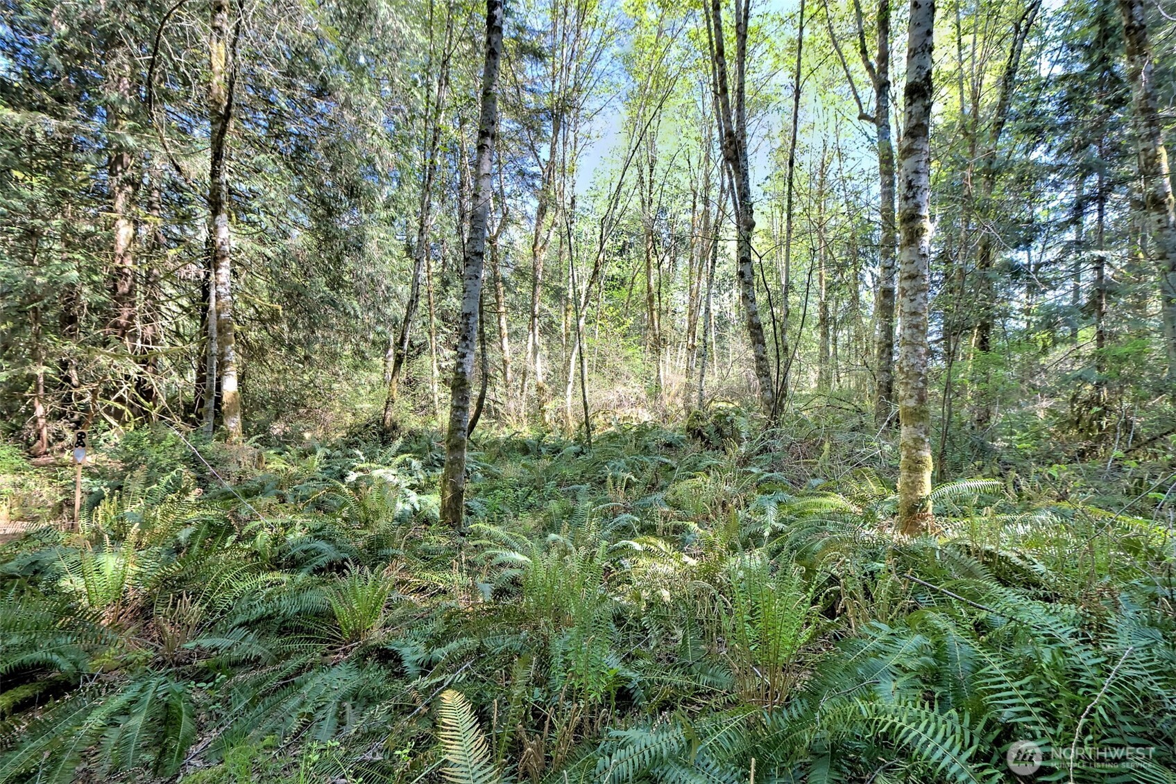 19381 E State Highway 3 , Allyn, WA 98524