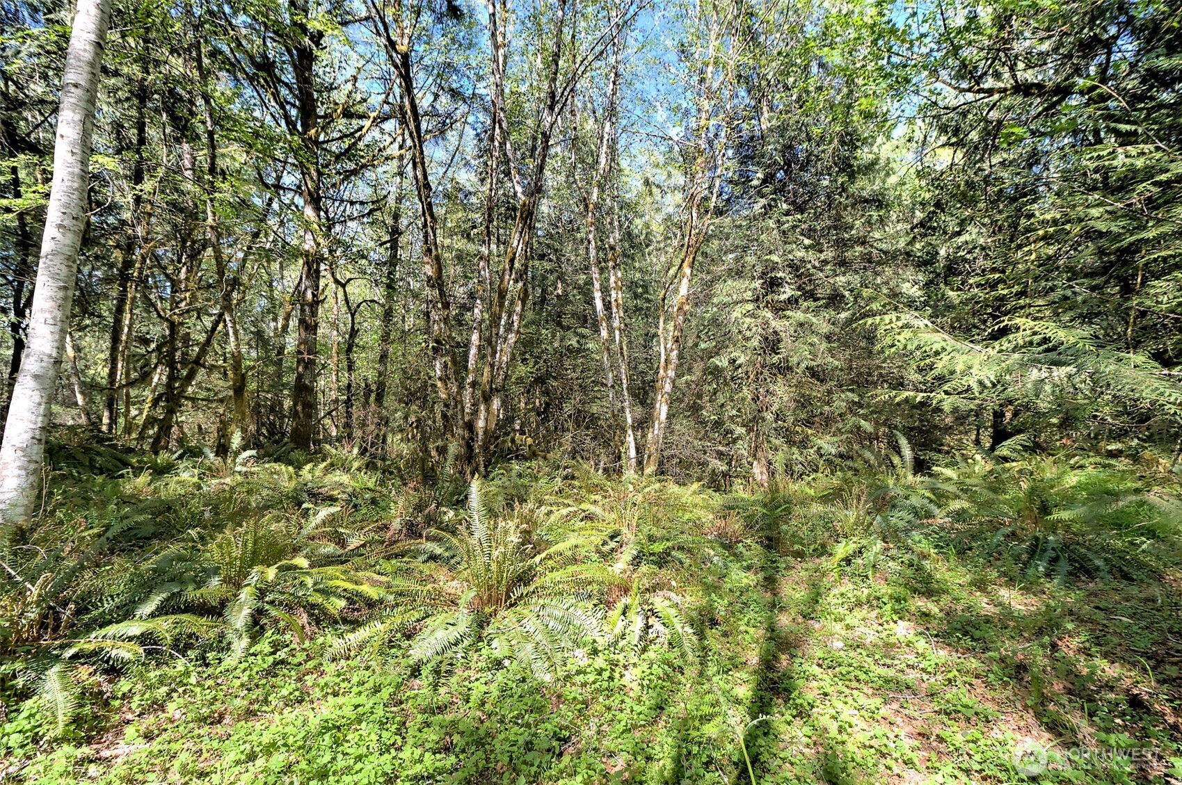 19381 E State Highway 3 , Allyn, WA 98524