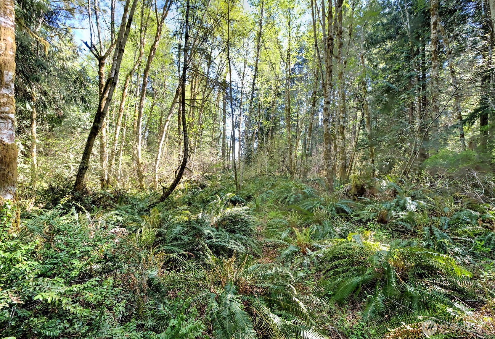 19381 E State Highway 3 , Allyn, WA 98524