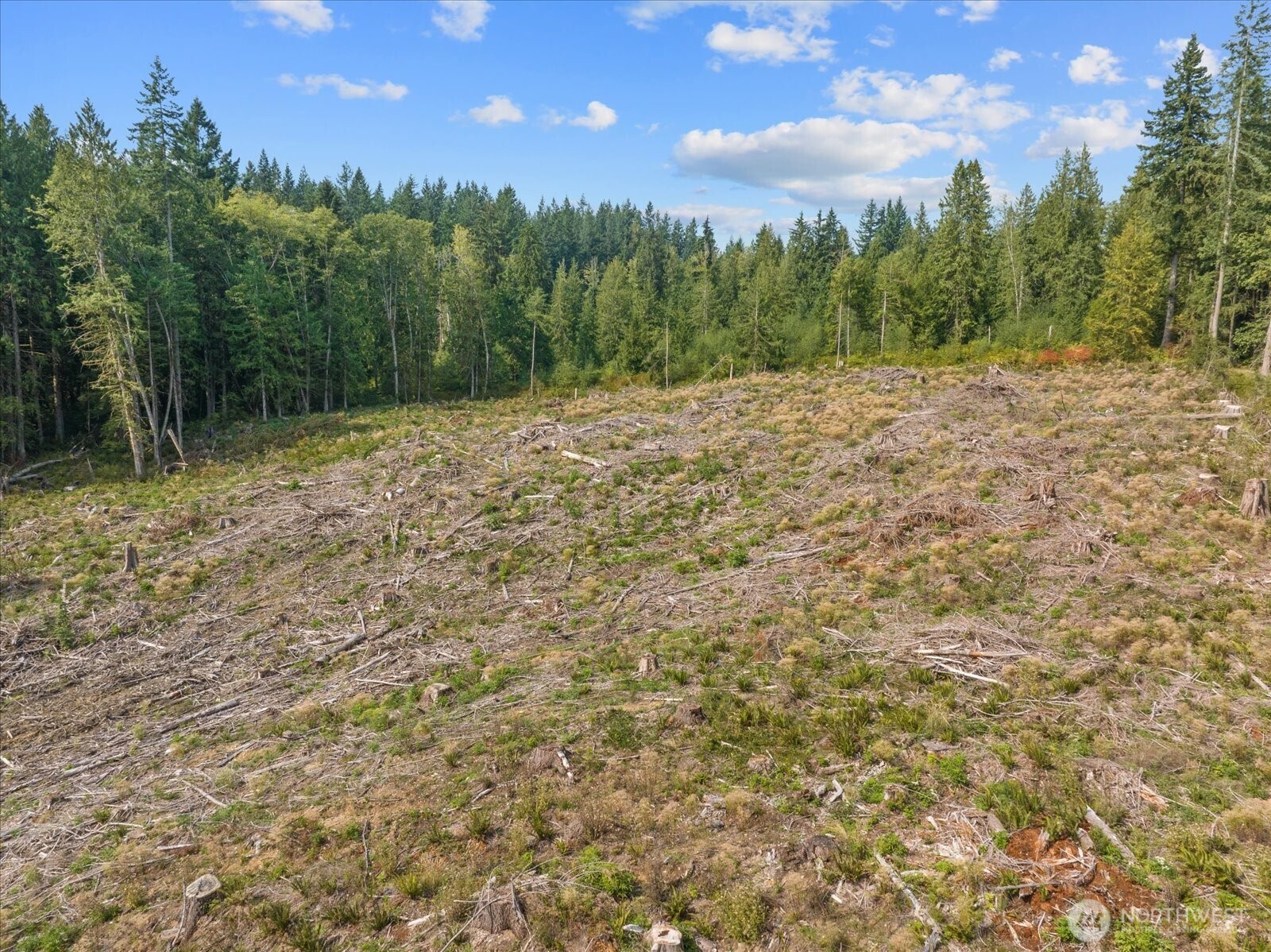 0 288th Street NW, Stanwood, WA 98292