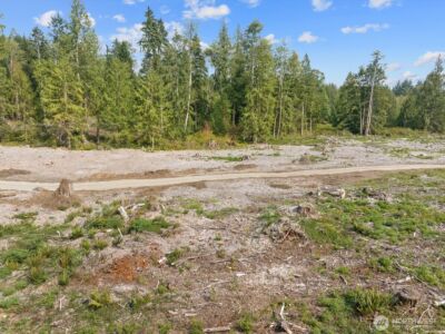 0 288th Street NW, Stanwood, WA 98292 - Photo 40