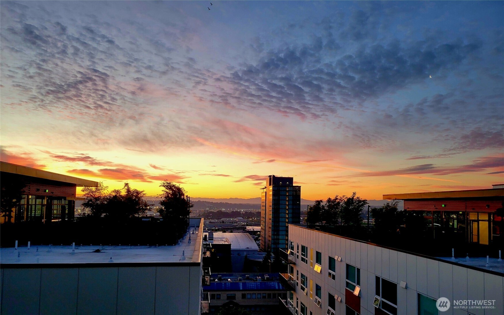 1501 Tacoma Avenue S #418, Tacoma, WA 98402