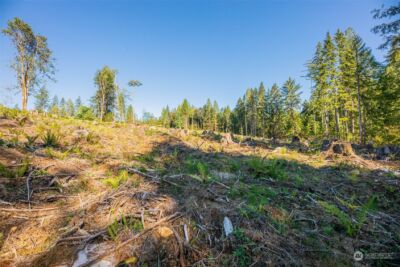 9005 Woods Creek Road , Monroe, WA 98272 - Photo 12