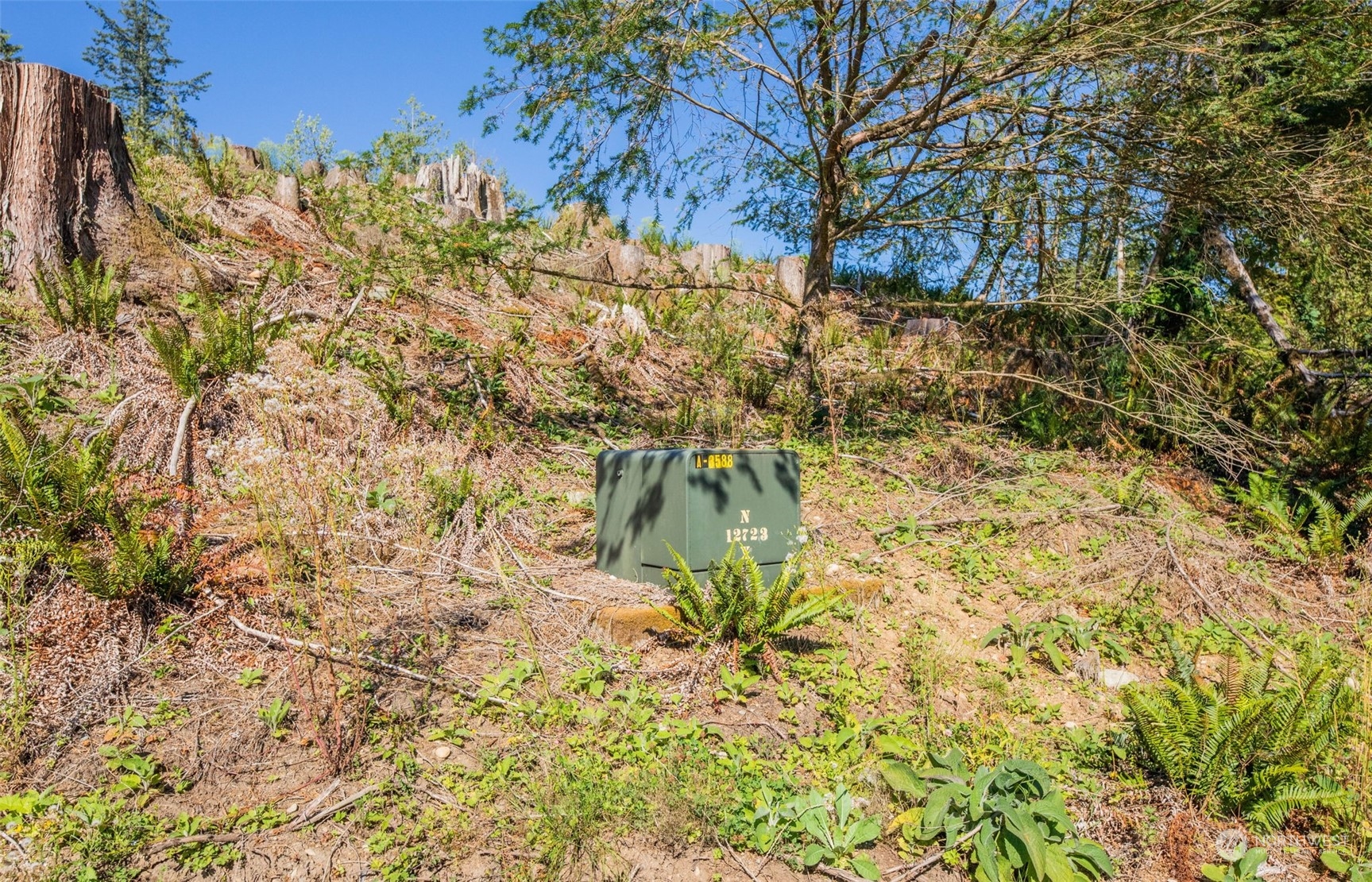 9005 Woods Creek Road , Monroe, WA 98272