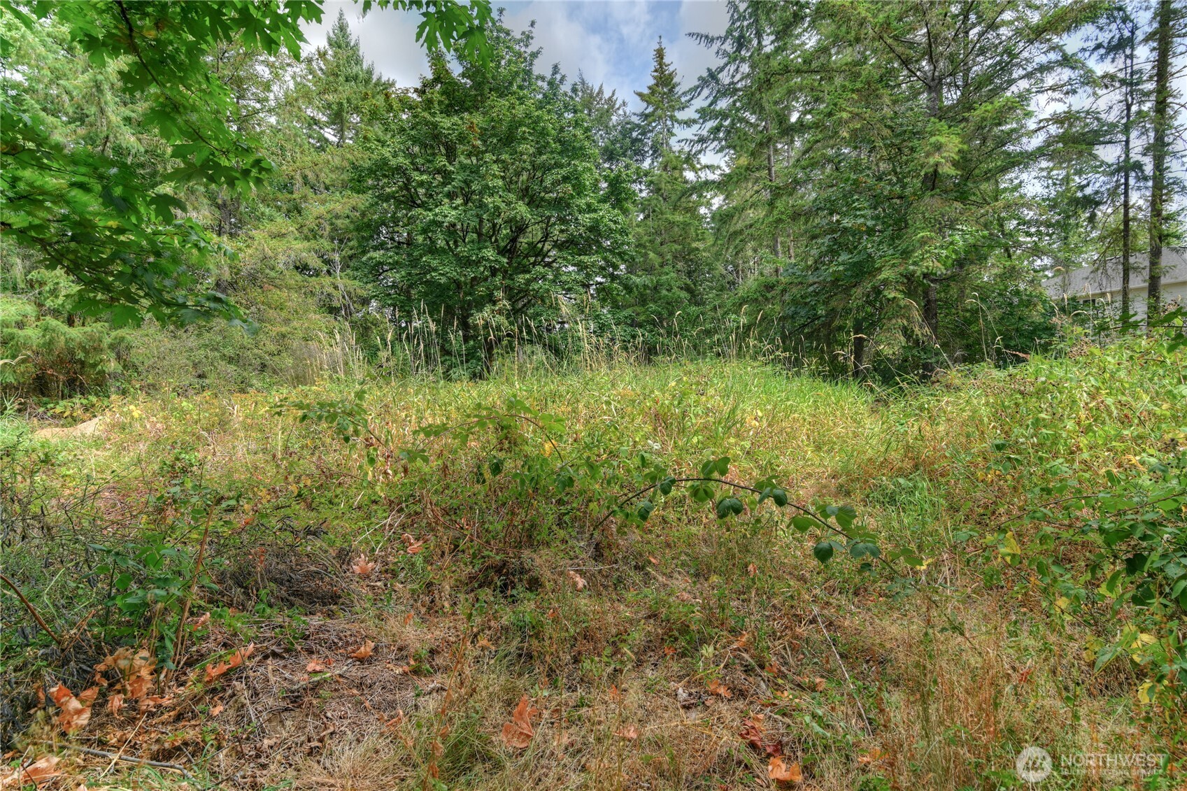 2411 Sleater Kinney Road NE, Olympia, WA 98506
