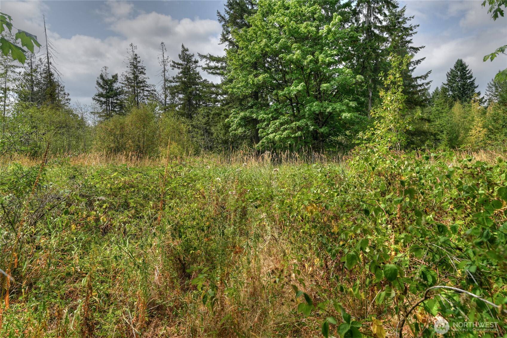 2411 Sleater Kinney Road NE, Olympia, WA 98506