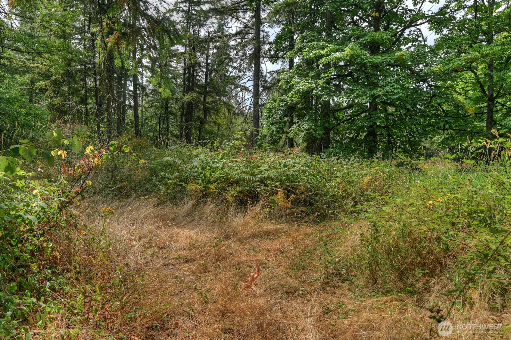2411 Sleater Kinney Road NE, Olympia, WA 98506
