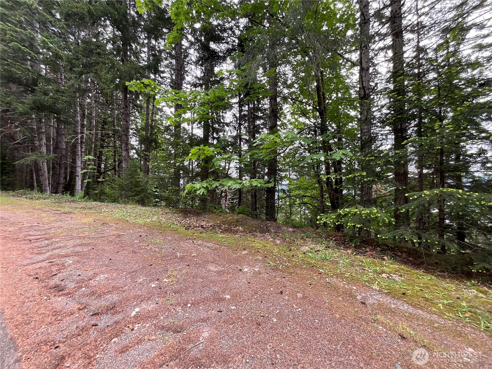 6 X N Colony Surf Drive , Lilliwaup, WA 98555