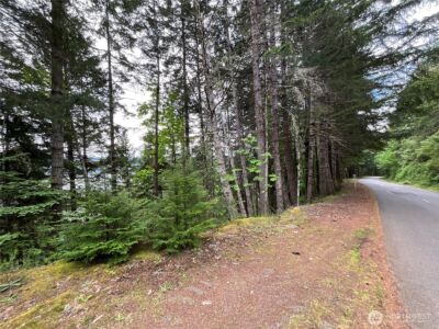 6 X N Colony Surf Drive , Lilliwaup, WA 98555 - Photo 11