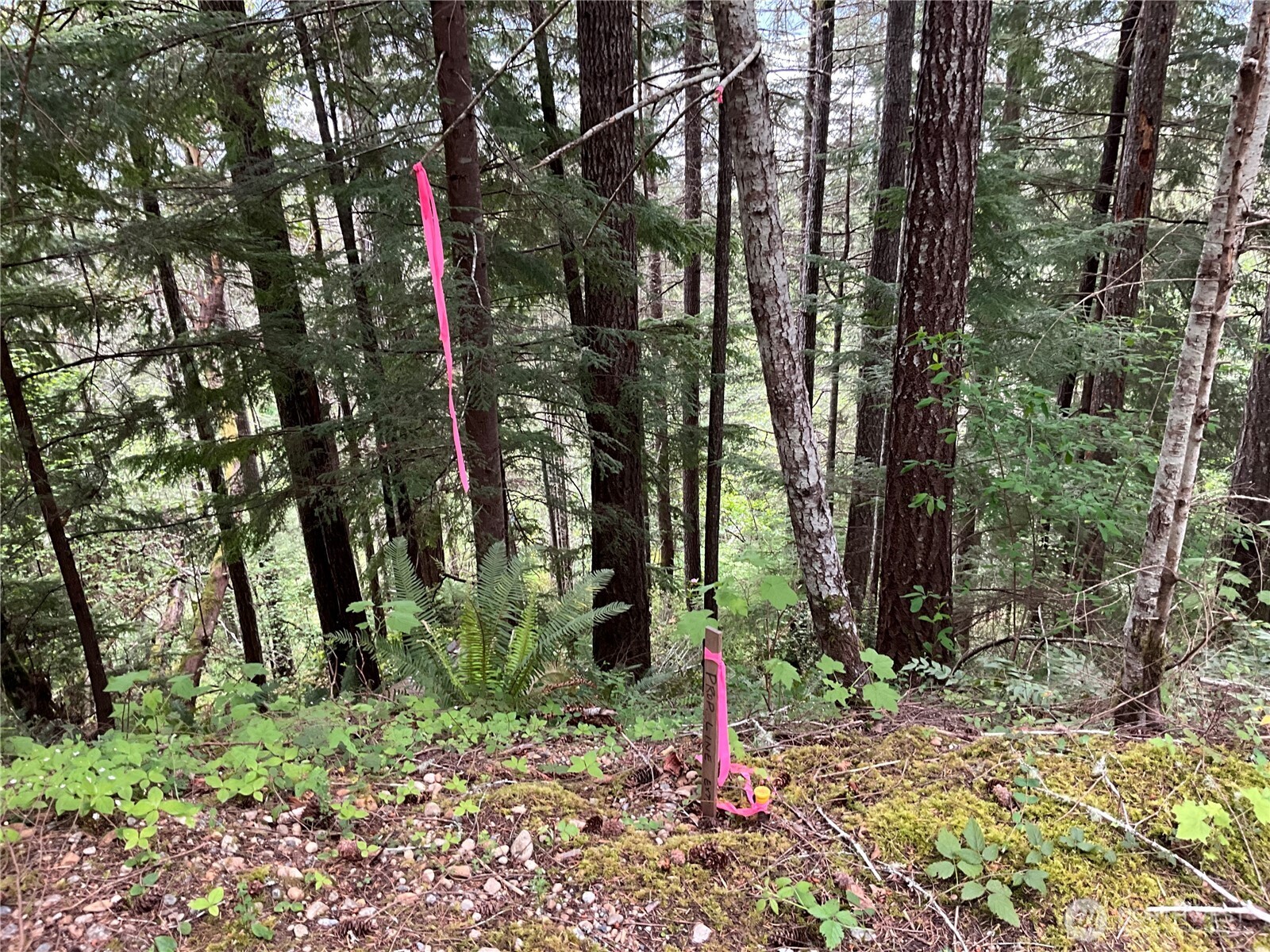 6 X N Colony Surf Drive , Lilliwaup, WA 98555