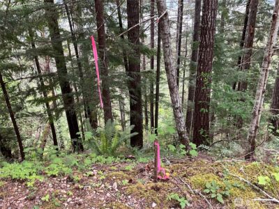 6 X N Colony Surf Drive , Lilliwaup, WA 98555 - Photo 12