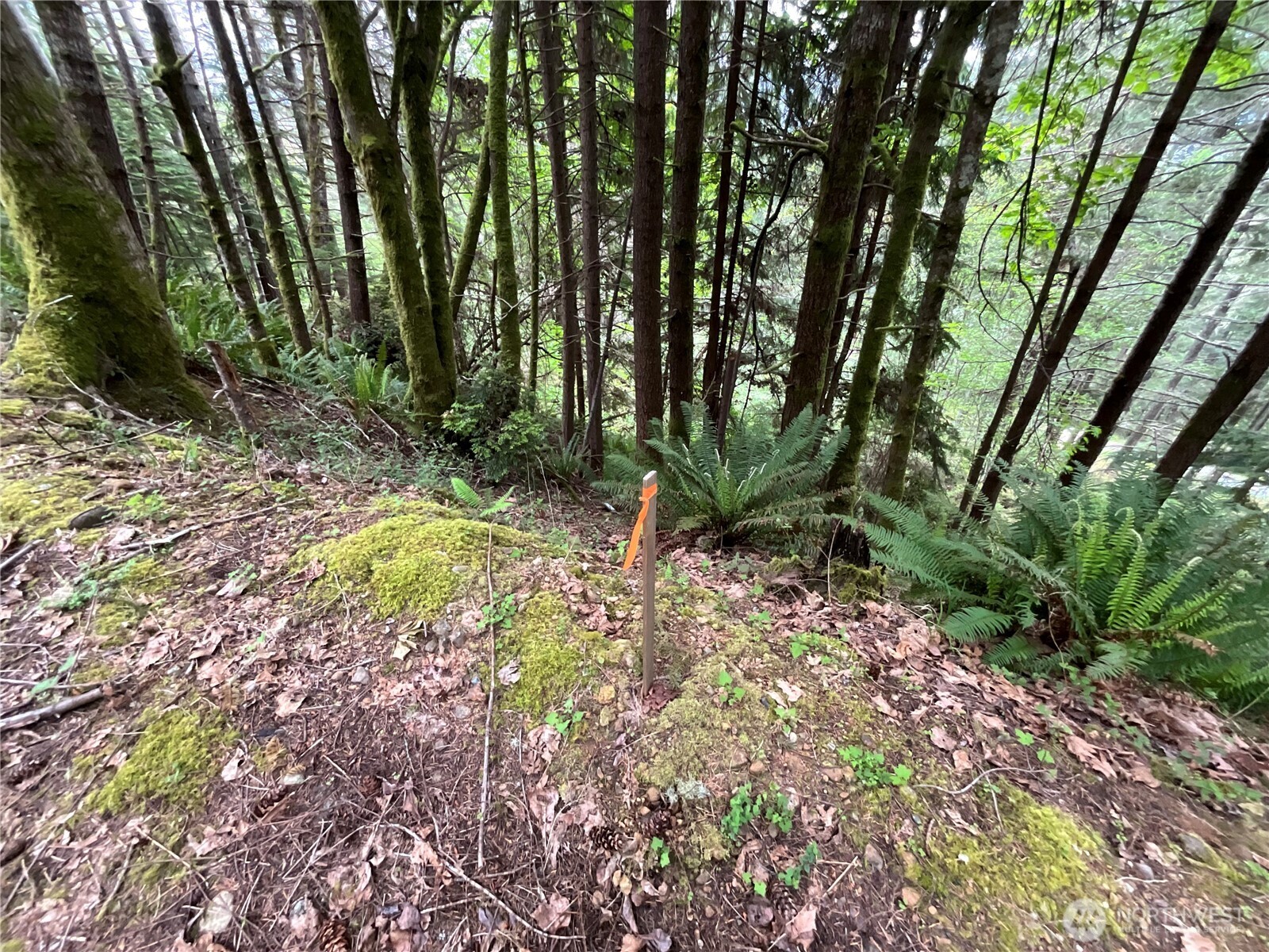 6 X N Colony Surf Drive , Lilliwaup, WA 98555