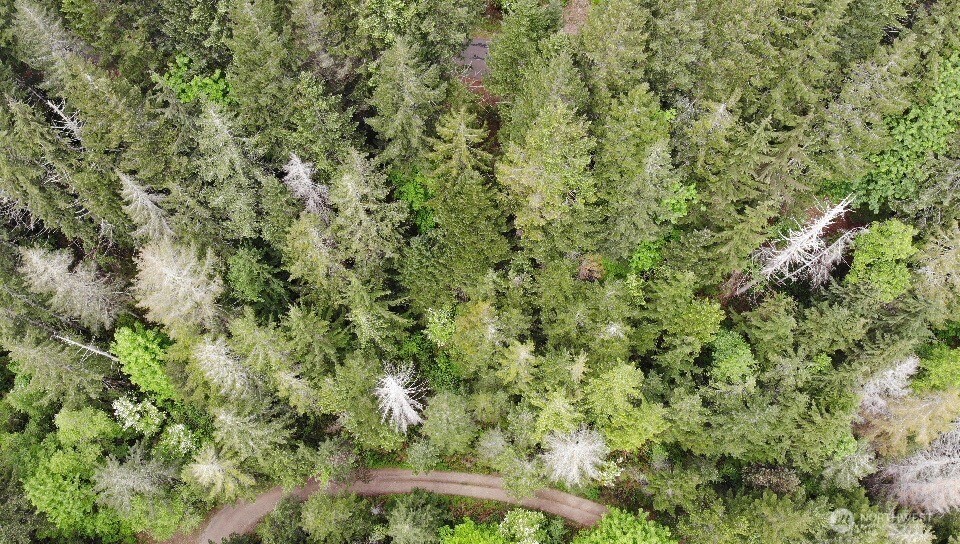 6 X N Colony Surf Drive , Lilliwaup, WA 98555