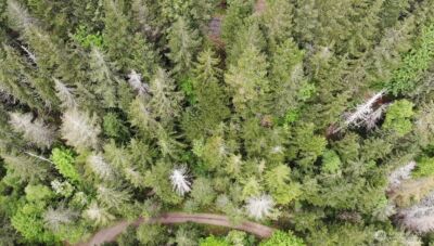6 X N Colony Surf Drive , Lilliwaup, WA 98555 - Photo 14