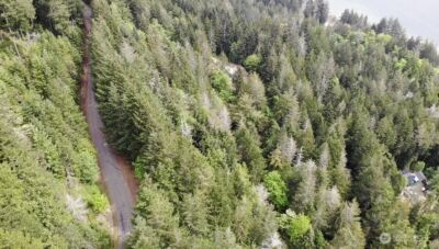 6 X N Colony Surf Drive , Lilliwaup, WA 98555 - Photo 15