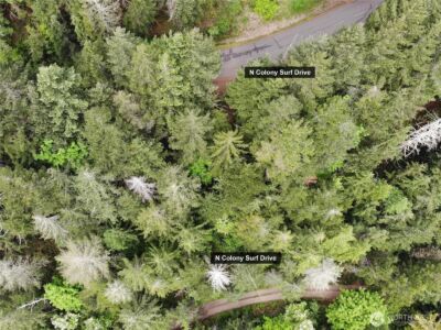 6 X N Colony Surf Drive , Lilliwaup, WA 98555 - Photo 18