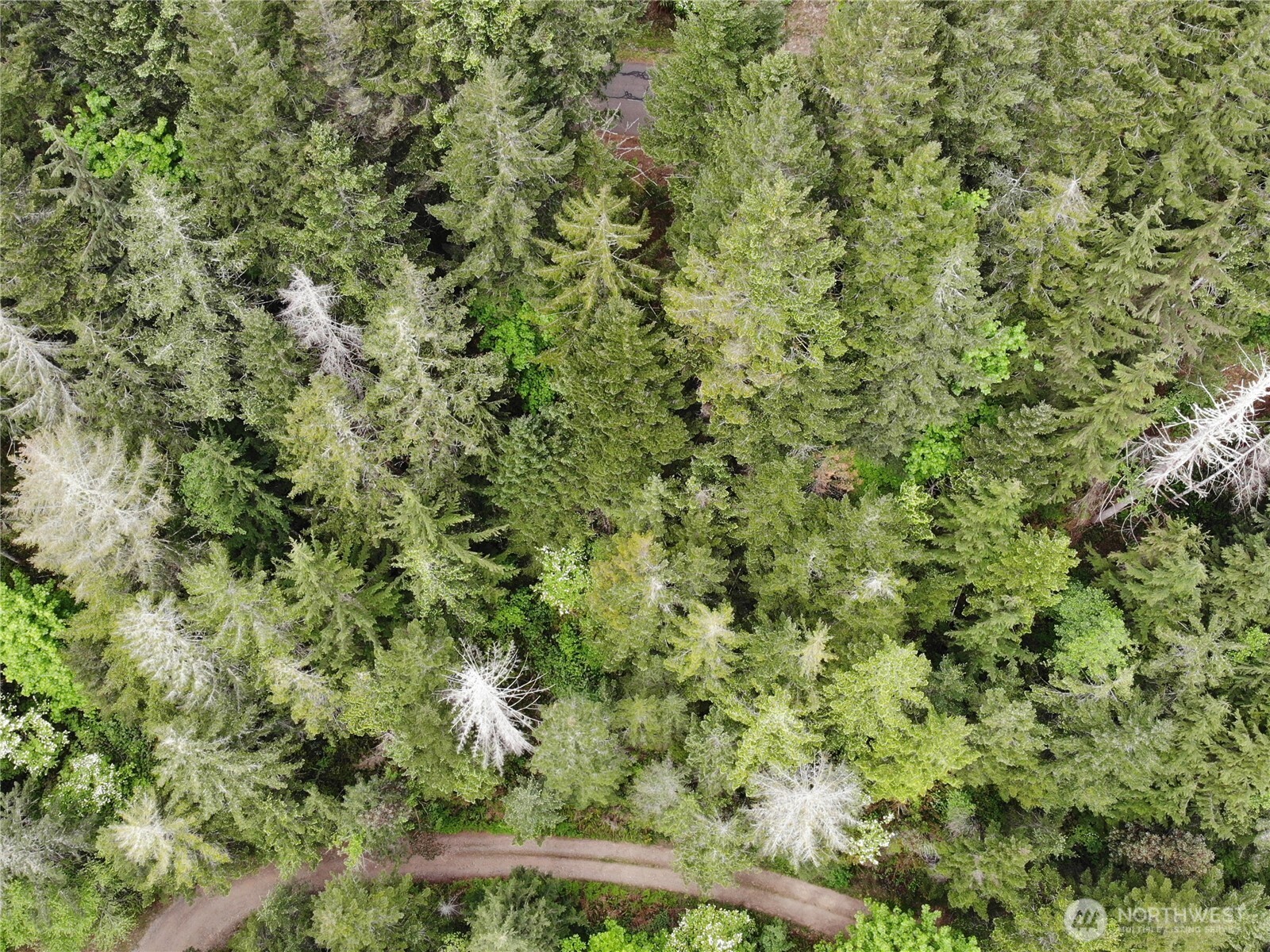 6 X N Colony Surf Drive , Lilliwaup, WA 98555