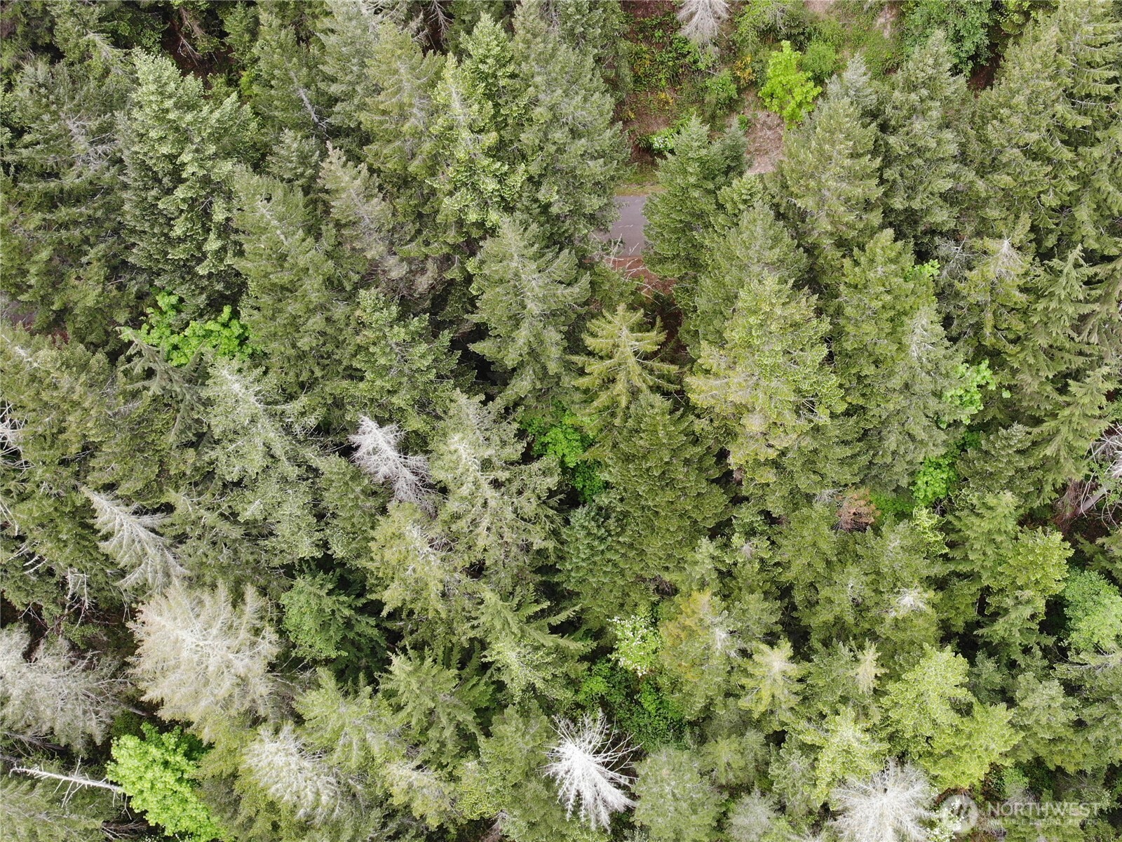 6 X N Colony Surf Drive , Lilliwaup, WA 98555