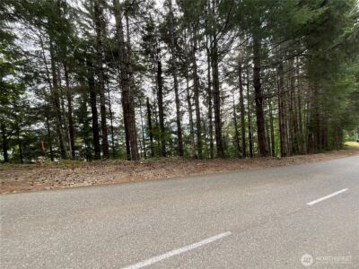 6 X N Colony Surf Drive , Lilliwaup, WA 98555 - Photo 2