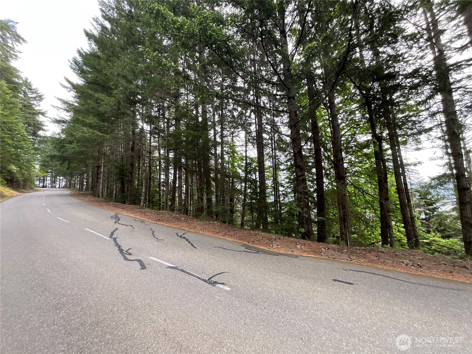 6 X N Colony Surf Drive , Lilliwaup, WA 98555