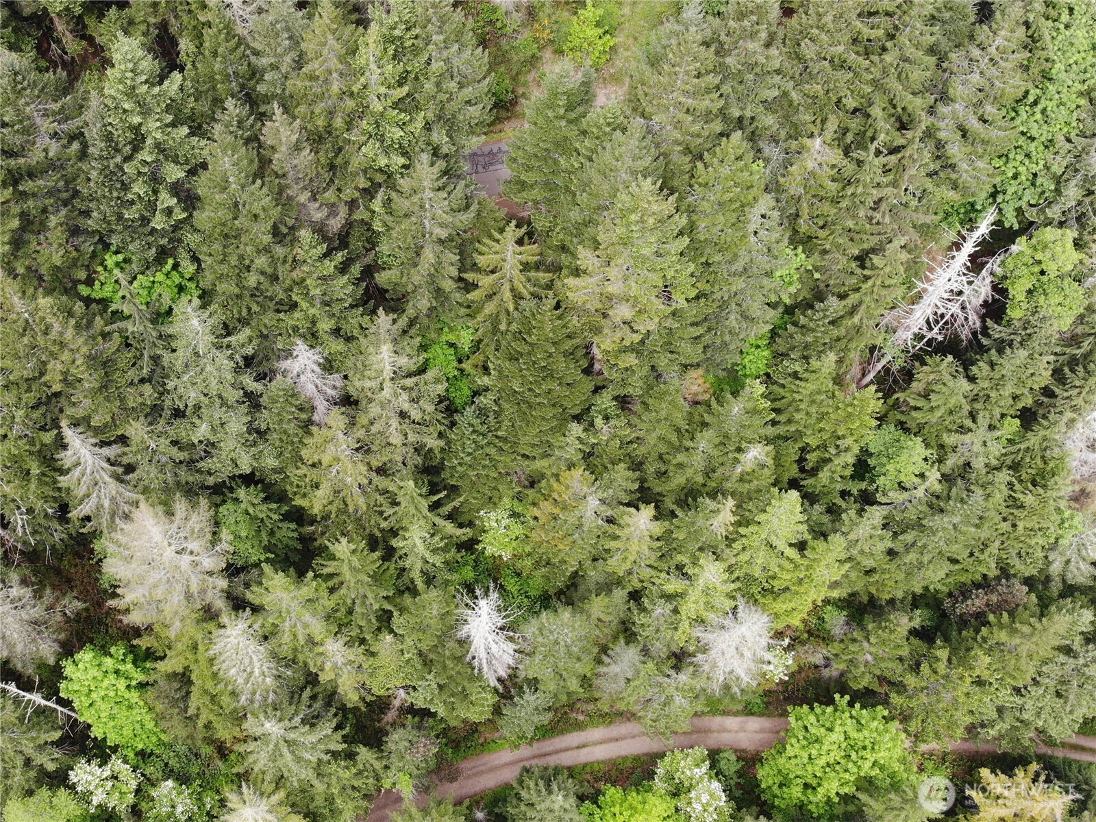 6 X N Colony Surf Drive , Lilliwaup, WA 98555