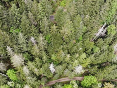6 X N Colony Surf Drive , Lilliwaup, WA 98555 - Photo 21